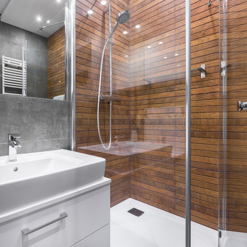 Contemporary Shower Styles